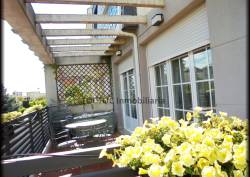 http://www.toctocinmobiliaria.es:80/imagen/imagen/98459/venta-pareado-santa-marta.jpg